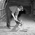 souvenirs en noir et blanc (15)
